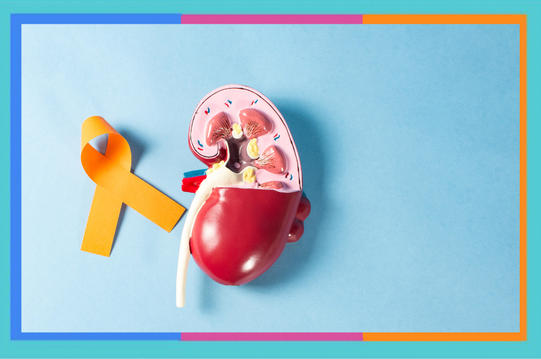 Día Mundial del Cáncer de Riñón: 19 de junio