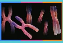 Día Internacional del Síndrome de Angelman: 15 de febrero angelman