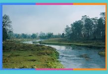 Día Internacional de Acción por los Ríos: 14 de marzo proteccion-de-los-rios