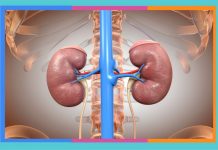Día Mundial del Riñón riñon