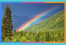 Día Mundial del Arcoíris: 3 de abril arcoiris
