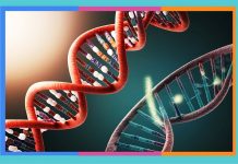 Día Internacional del ADN: 25 de abril adn