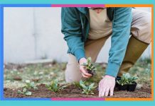 Día Mundial del Horticultor: 17 de mayo horticultor