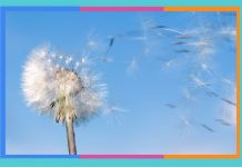 Día Global del Viento: 15 de junio viento