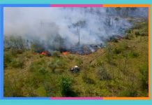 Día Mundial de la Prevencion de Incendios Forestales incendios-forestales